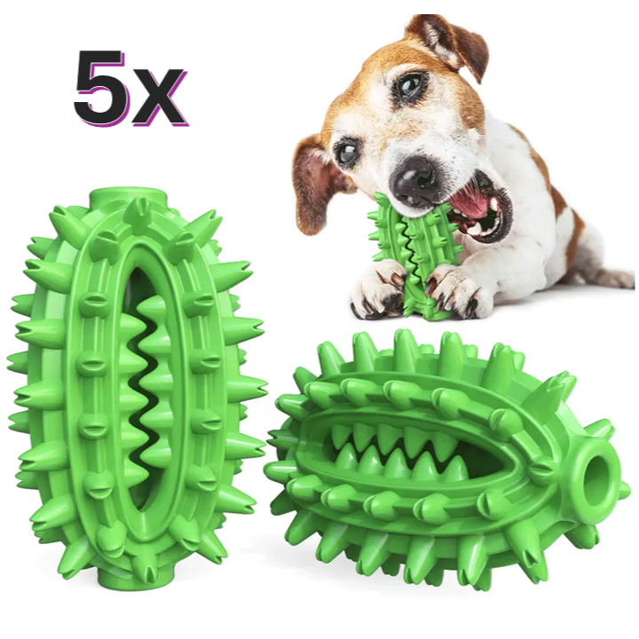 Bulk Buy 5x Chew Toy Cactus Ball Dental