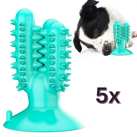 Bulk Buy 5 x Chew Toy Cactus with suction cup